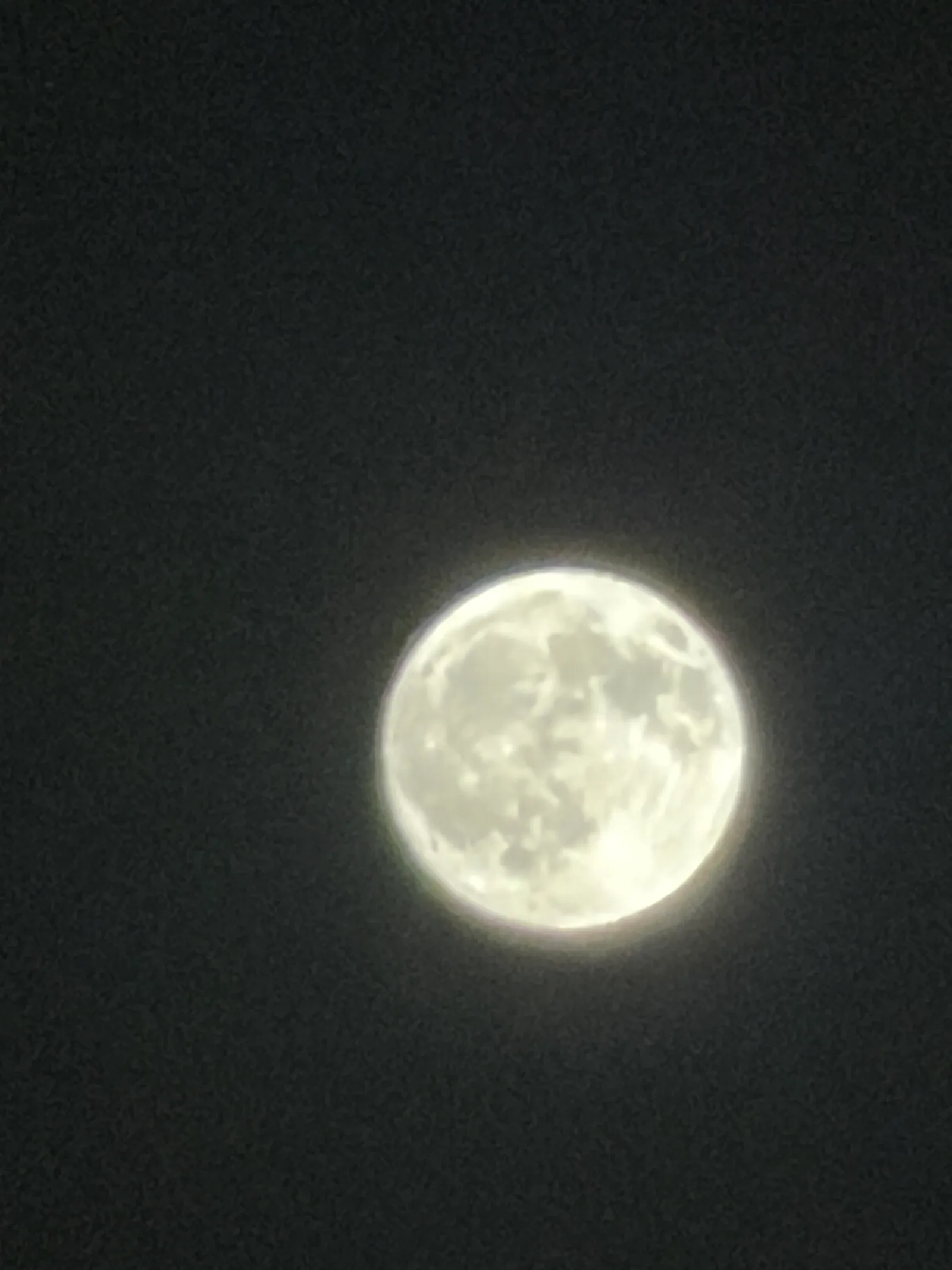 La luna llena de aquella madrugada, fotografiada desde la finca