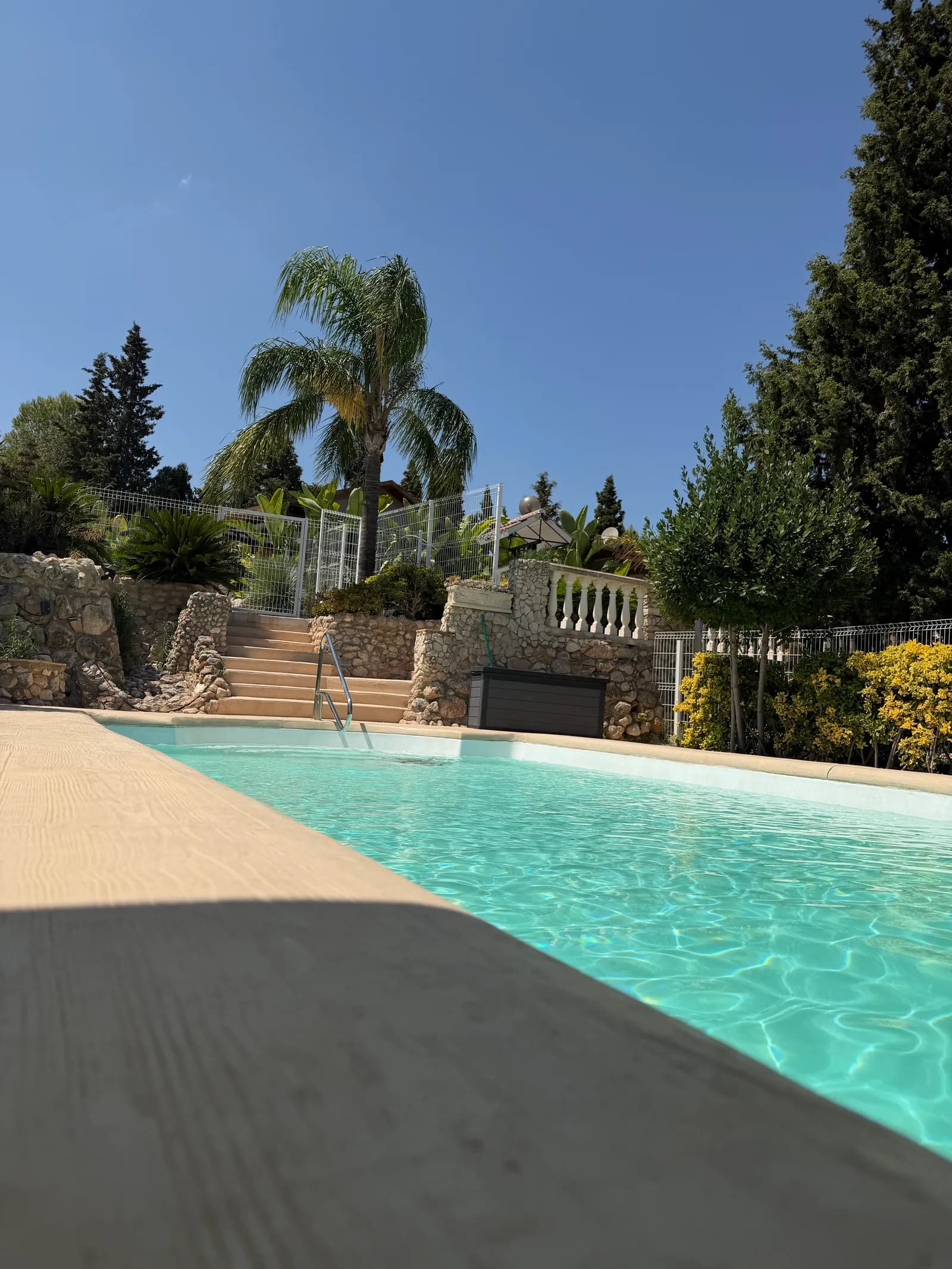 La piscina de Ryfugio con la luz dorada de la tarde y una palmera contra el cielo
