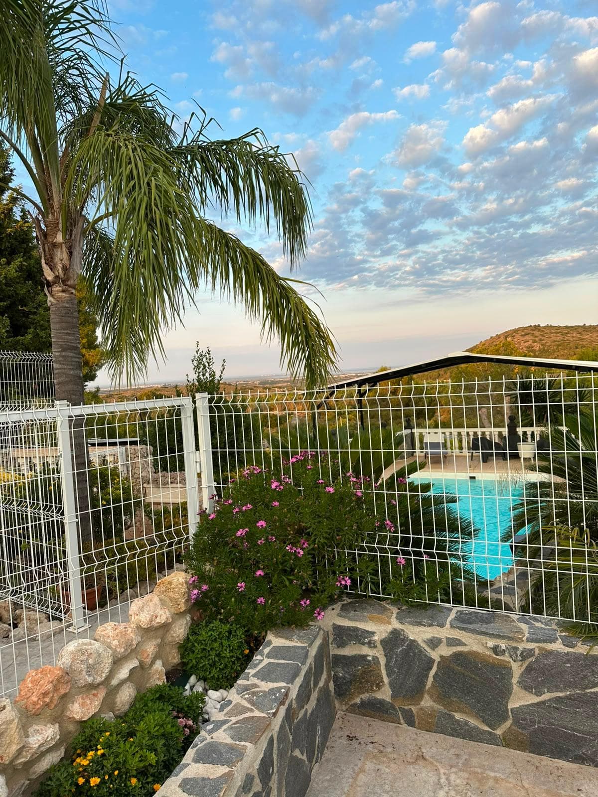 El valle y la piscina vistos desde lo alto del jardín, entre la palmera y las flores